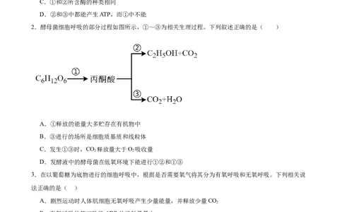 考点通关卷09细胞呼吸（原卷版）_新高考复习资料_2025年新高考资料_2025年高考生物一轮复习考点通关卷（新高考通用）