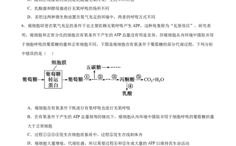 考点通关卷09细胞呼吸（原卷版）_新高考复习资料_2025年新高考资料_2025年高考生物一轮复习考点通关卷（新高考通用）