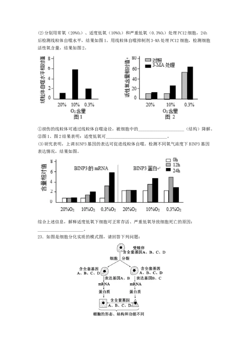 考点14细胞的分化、衰老和死亡（核心考点讲与练）-2023年高考生物一轮复习讲练测（全国通用）（原卷版）_通用版（老高考）复习资料_2023年复习资料_一轮复习