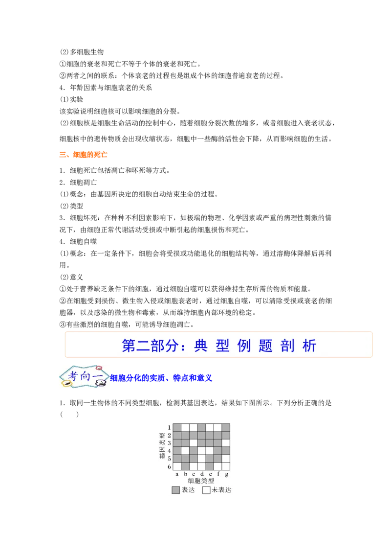 考点14细胞的分化、衰老和死亡（核心考点讲与练）-2023年高考生物一轮复习讲练测（全国通用）（原卷版）_通用版（老高考）复习资料_2023年复习资料_一轮复习