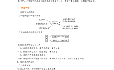 考点14细胞的分化、衰老和死亡（核心考点讲与练）-2023年高考生物一轮复习讲练测（全国通用）（原卷版）_通用版（老高考）复习资料_2023年复习资料_一轮复习