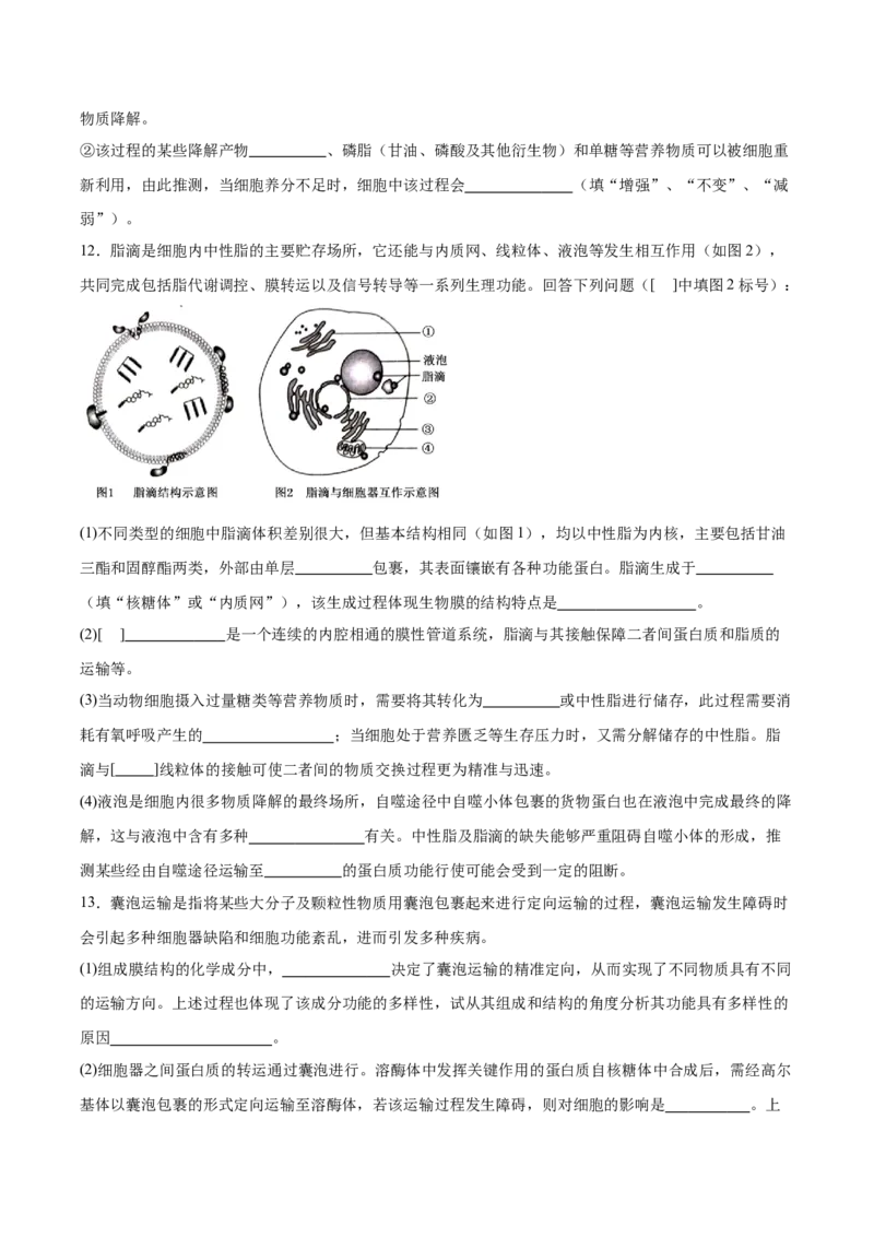 考点通关卷06细胞器和生物膜系统（原卷版）_新高考复习资料_2025年新高考资料_2025年高考生物一轮复习考点通关卷（新高考通用）