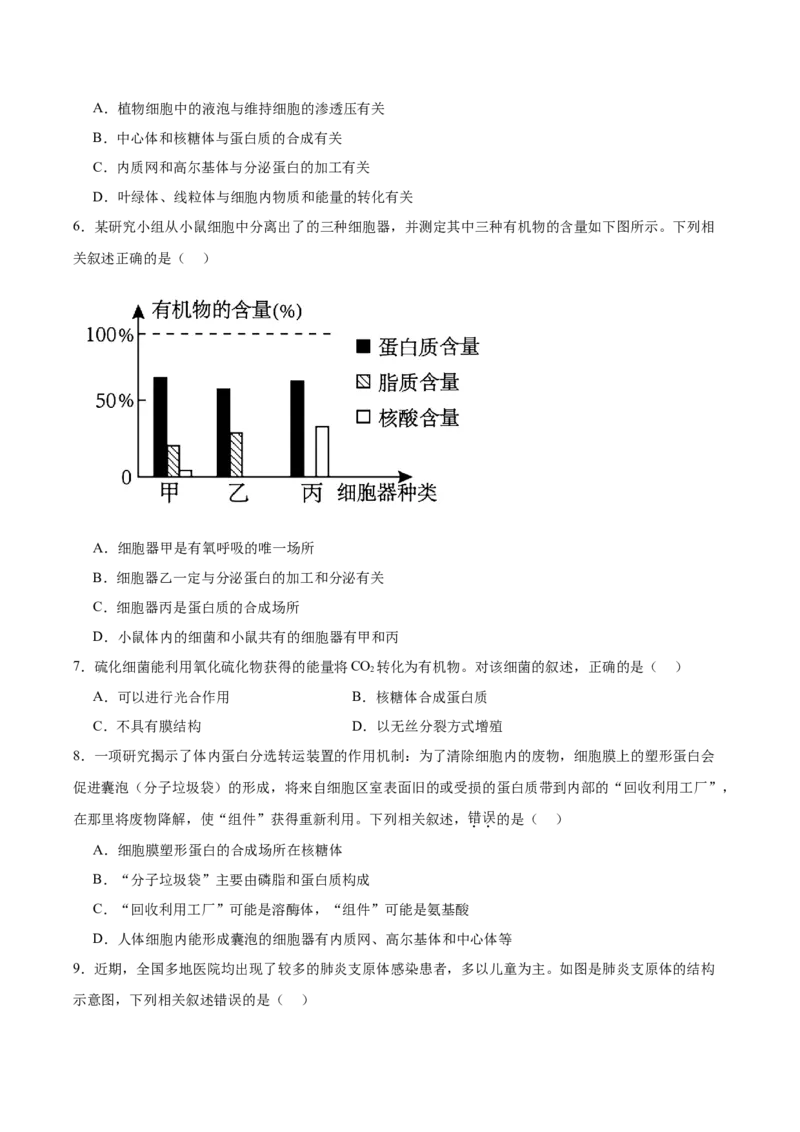 考点通关卷06细胞器和生物膜系统（原卷版）_新高考复习资料_2025年新高考资料_2025年高考生物一轮复习考点通关卷（新高考通用）