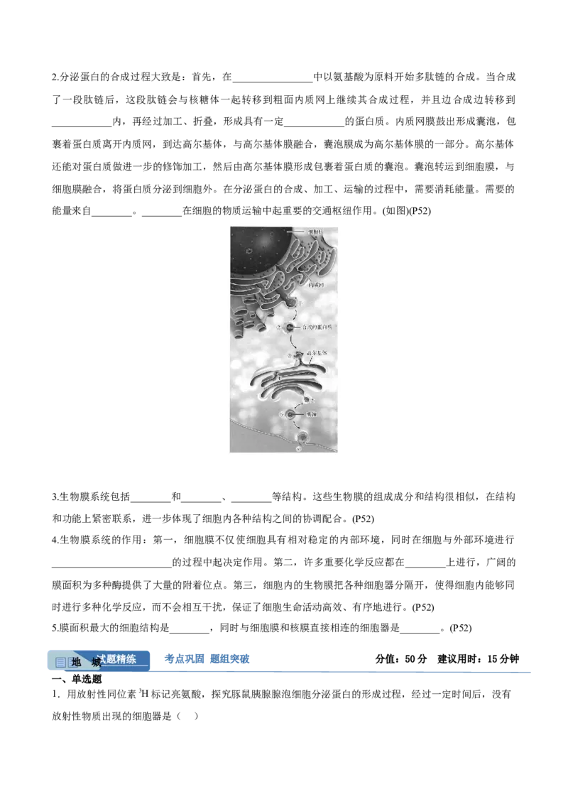 考点通关卷06细胞器和生物膜系统（原卷版）_新高考复习资料_2025年新高考资料_2025年高考生物一轮复习考点通关卷（新高考通用）