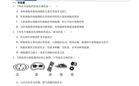 考点通关卷06细胞器和生物膜系统（原卷版）_新高考复习资料_2025年新高考资料_2025年高考生物一轮复习考点通关卷（新高考通用）