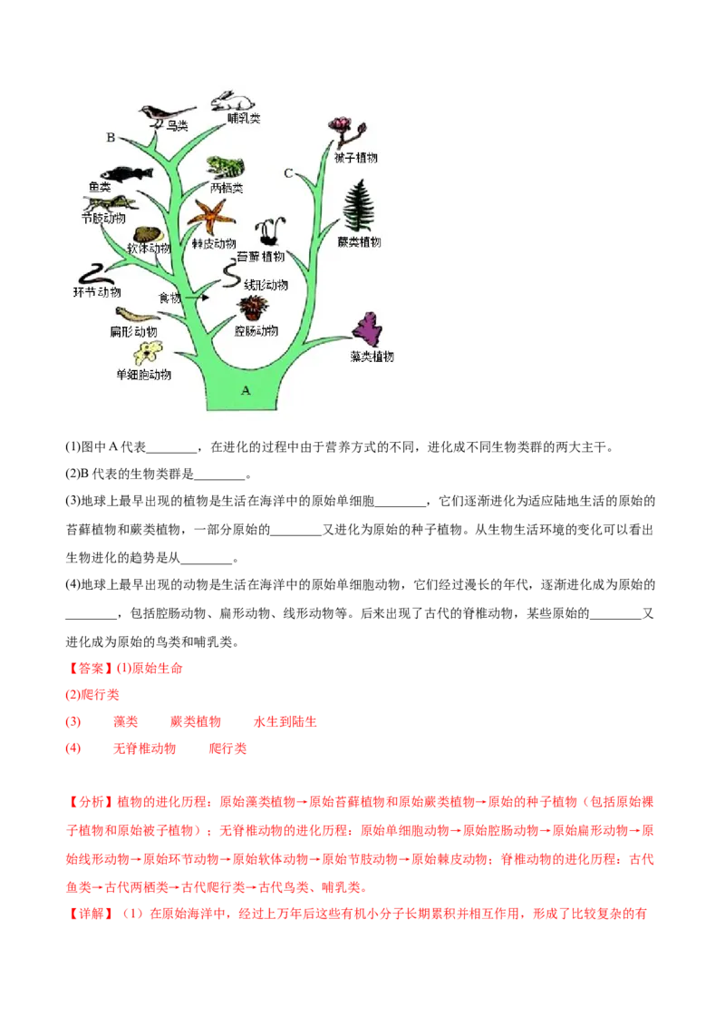 主题06遗传与进化（解析版）_6生物中考复习_2023年中考复习资料_二轮复习_2023年中考生物二轮复习讲练测_主题06遗传与进化（测试）-2023年中考生物二轮复习讲练测_38974351