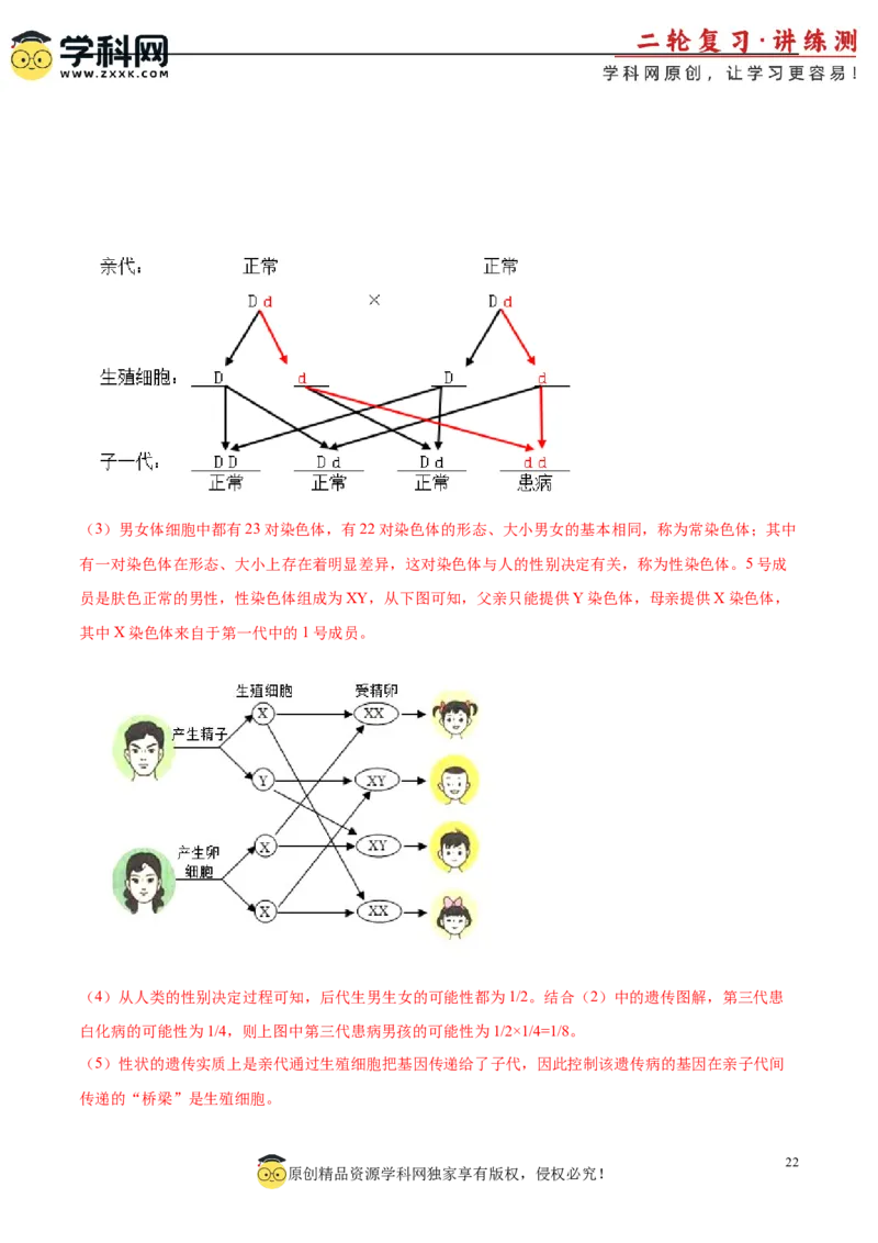 主题06遗传与进化（解析版）_6生物中考复习_2023年中考复习资料_二轮复习_2023年中考生物二轮复习讲练测_主题06遗传与进化（测试）-2023年中考生物二轮复习讲练测_38974351