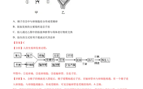 主题06遗传与进化（解析版）_6生物中考复习_2023年中考复习资料_二轮复习_2023年中考生物二轮复习讲练测_主题06遗传与进化（测试）-2023年中考生物二轮复习讲练测_38974351