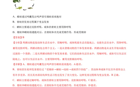 主题06遗传与进化（解析版）_6生物中考复习_2023年中考复习资料_二轮复习_2023年中考生物二轮复习讲练测_主题06遗传与进化（测试）-2023年中考生物二轮复习讲练测_38974351