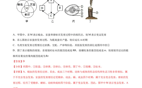 主题06遗传与进化（解析版）_6生物中考复习_2023年中考复习资料_二轮复习_2023年中考生物二轮复习讲练测_主题06遗传与进化（测试）-2023年中考生物二轮复习讲练测_38974351