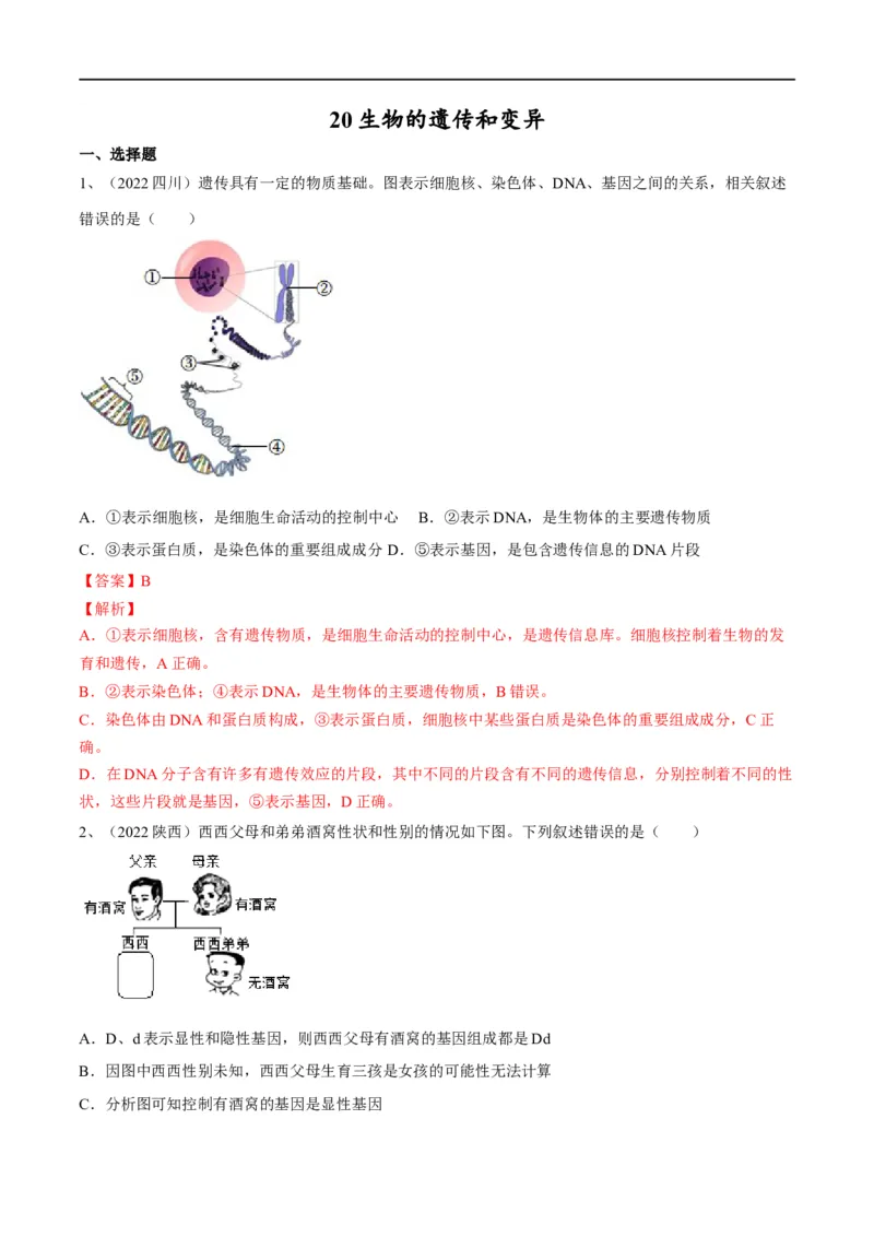 专题20生物的遗传和变异（解析版）_6生物中考复习_2023年中考复习资料_一轮复习_2023年中考生物一轮复习讲练测_专题20生物的遗传和变异（专题精练）-2023年中考生物一轮复习讲练测