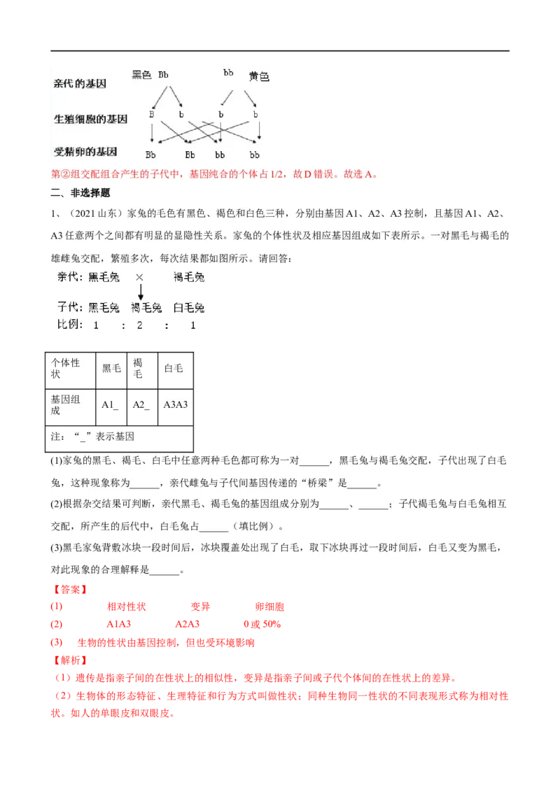 专题20生物的遗传和变异（解析版）_6生物中考复习_2023年中考复习资料_一轮复习_2023年中考生物一轮复习讲练测_专题20生物的遗传和变异（专题精练）-2023年中考生物一轮复习讲练测