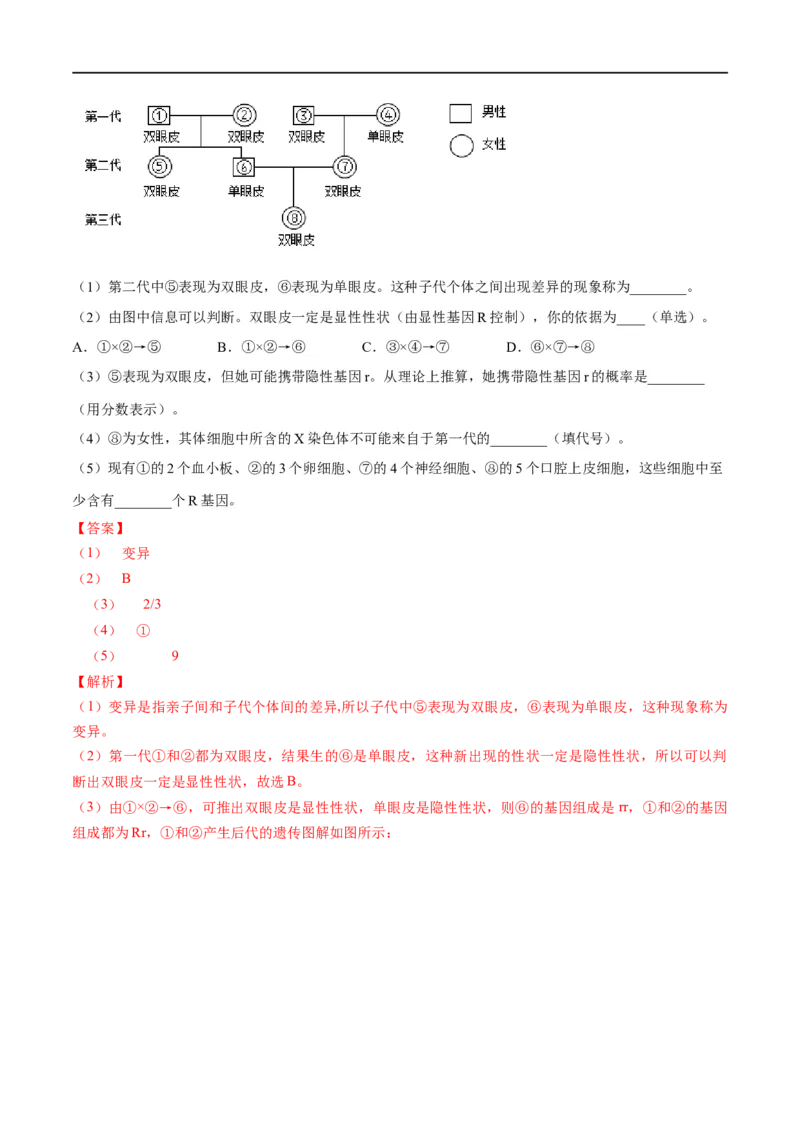 专题20生物的遗传和变异（解析版）_6生物中考复习_2023年中考复习资料_一轮复习_2023年中考生物一轮复习讲练测_专题20生物的遗传和变异（专题精练）-2023年中考生物一轮复习讲练测