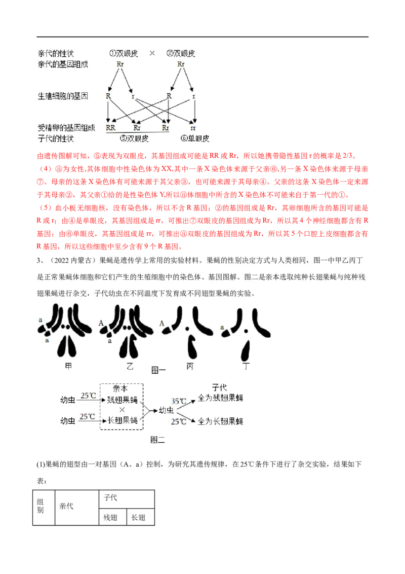专题20生物的遗传和变异（解析版）_6生物中考复习_2023年中考复习资料_一轮复习_2023年中考生物一轮复习讲练测_专题20生物的遗传和变异（专题精练）-2023年中考生物一轮复习讲练测