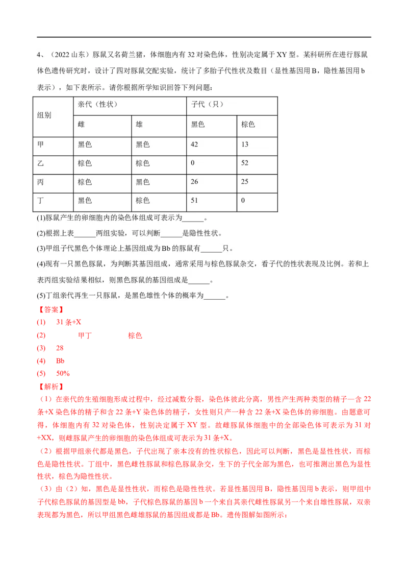 专题20生物的遗传和变异（解析版）_6生物中考复习_2023年中考复习资料_一轮复习_2023年中考生物一轮复习讲练测_专题20生物的遗传和变异（专题精练）-2023年中考生物一轮复习讲练测