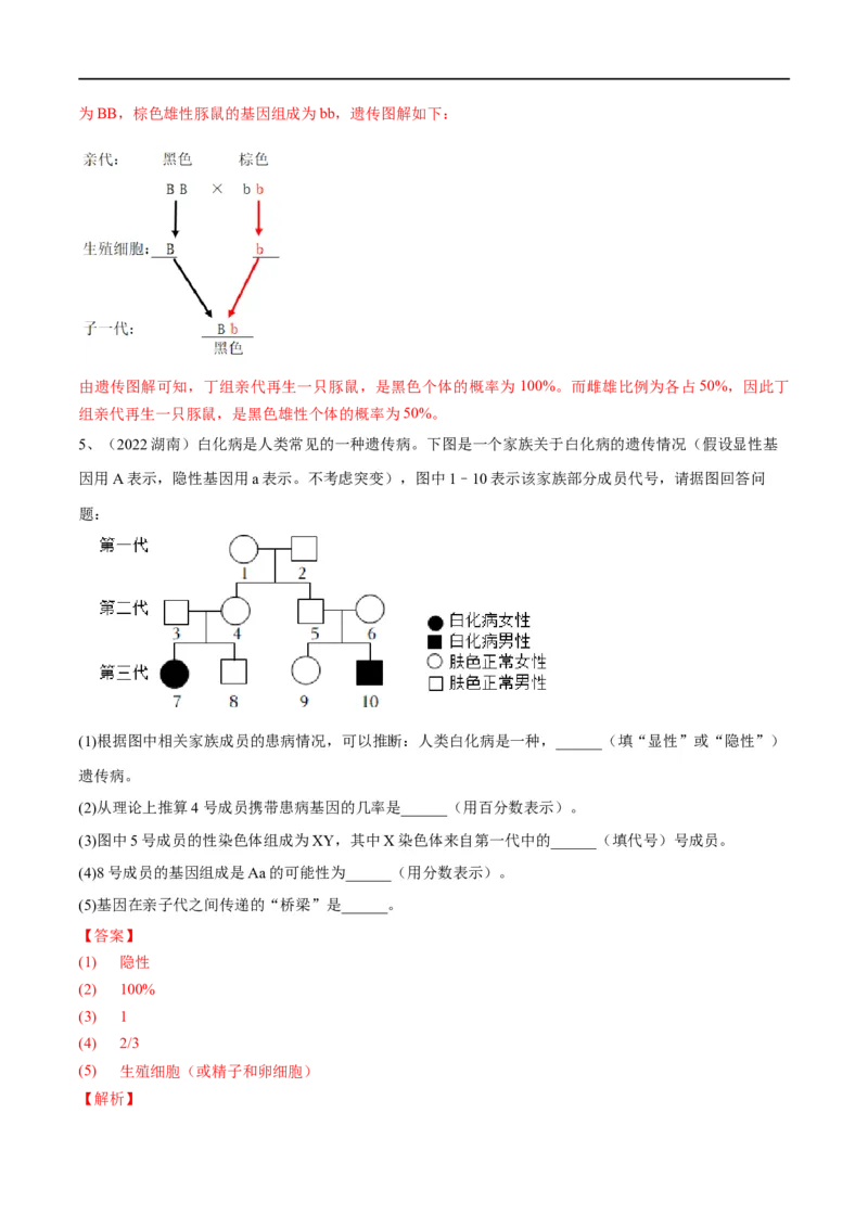 专题20生物的遗传和变异（解析版）_6生物中考复习_2023年中考复习资料_一轮复习_2023年中考生物一轮复习讲练测_专题20生物的遗传和变异（专题精练）-2023年中考生物一轮复习讲练测