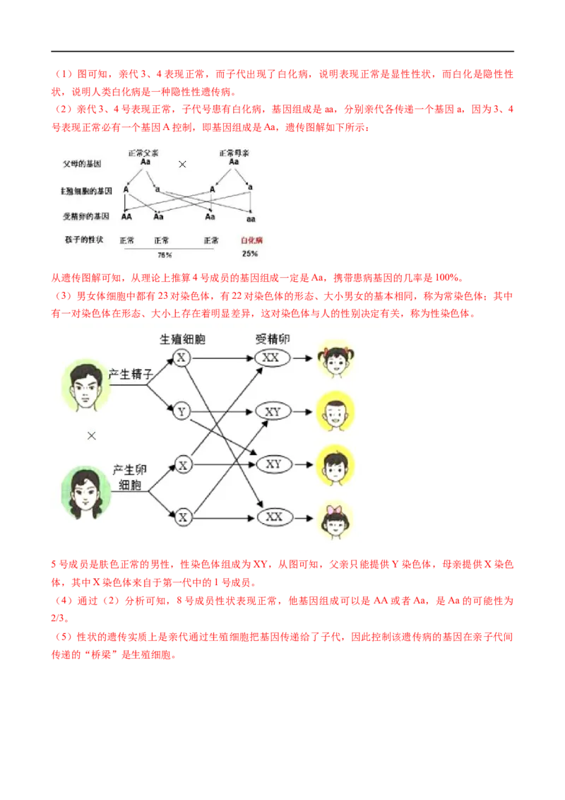 专题20生物的遗传和变异（解析版）_6生物中考复习_2023年中考复习资料_一轮复习_2023年中考生物一轮复习讲练测_专题20生物的遗传和变异（专题精练）-2023年中考生物一轮复习讲练测