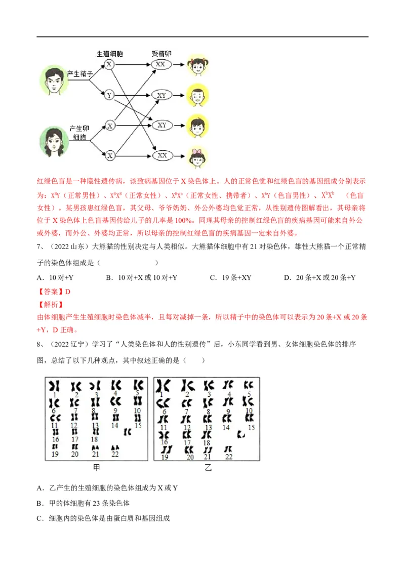 专题20生物的遗传和变异（解析版）_6生物中考复习_2023年中考复习资料_一轮复习_2023年中考生物一轮复习讲练测_专题20生物的遗传和变异（专题精练）-2023年中考生物一轮复习讲练测