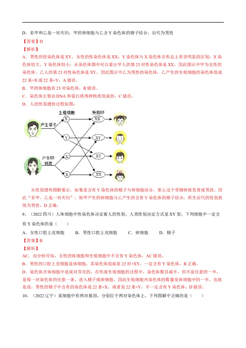 专题20生物的遗传和变异（解析版）_6生物中考复习_2023年中考复习资料_一轮复习_2023年中考生物一轮复习讲练测_专题20生物的遗传和变异（专题精练）-2023年中考生物一轮复习讲练测
