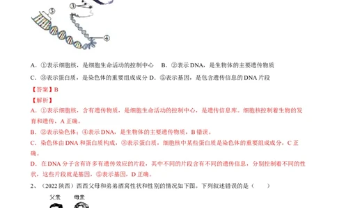 专题20生物的遗传和变异（解析版）_6生物中考复习_2023年中考复习资料_一轮复习_2023年中考生物一轮复习讲练测_专题20生物的遗传和变异（专题精练）-2023年中考生物一轮复习讲练测