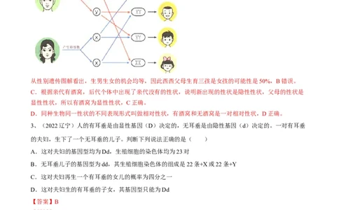 专题20生物的遗传和变异（解析版）_6生物中考复习_2023年中考复习资料_一轮复习_2023年中考生物一轮复习讲练测_专题20生物的遗传和变异（专题精练）-2023年中考生物一轮复习讲练测