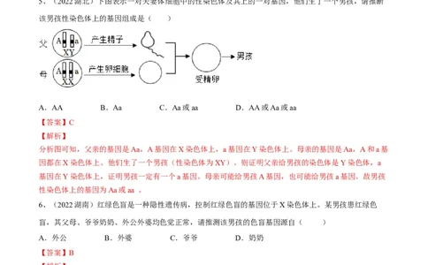 专题20生物的遗传和变异（解析版）_6生物中考复习_2023年中考复习资料_一轮复习_2023年中考生物一轮复习讲练测_专题20生物的遗传和变异（专题精练）-2023年中考生物一轮复习讲练测