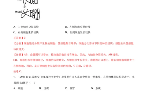 主题01生物体的结构层次（解析版）_6生物中考复习_2023年中考复习资料_二轮复习_2023年中考生物二轮复习讲练测_主题01生物体的结构层次（测试）-2023年中考生物二轮复习讲练测_38804184