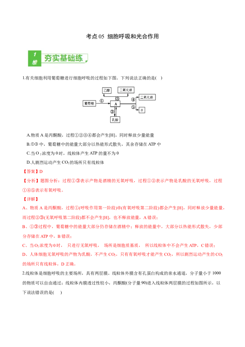 考点05细胞呼吸与光合作用-2022年高考生物一轮复习小题多维练（新高考专用）（解析版）_新高考复习资料_2022年新高考复习资料