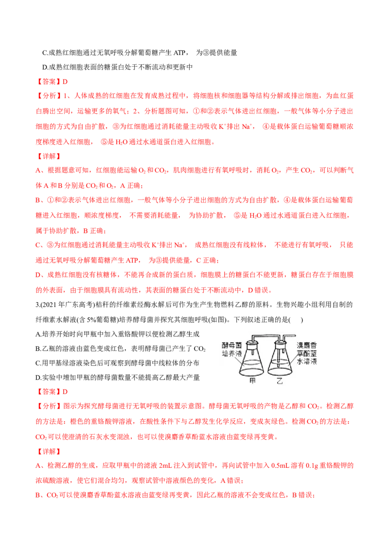 考点05细胞呼吸与光合作用-2022年高考生物一轮复习小题多维练（新高考专用）（解析版）_新高考复习资料_2022年新高考复习资料
