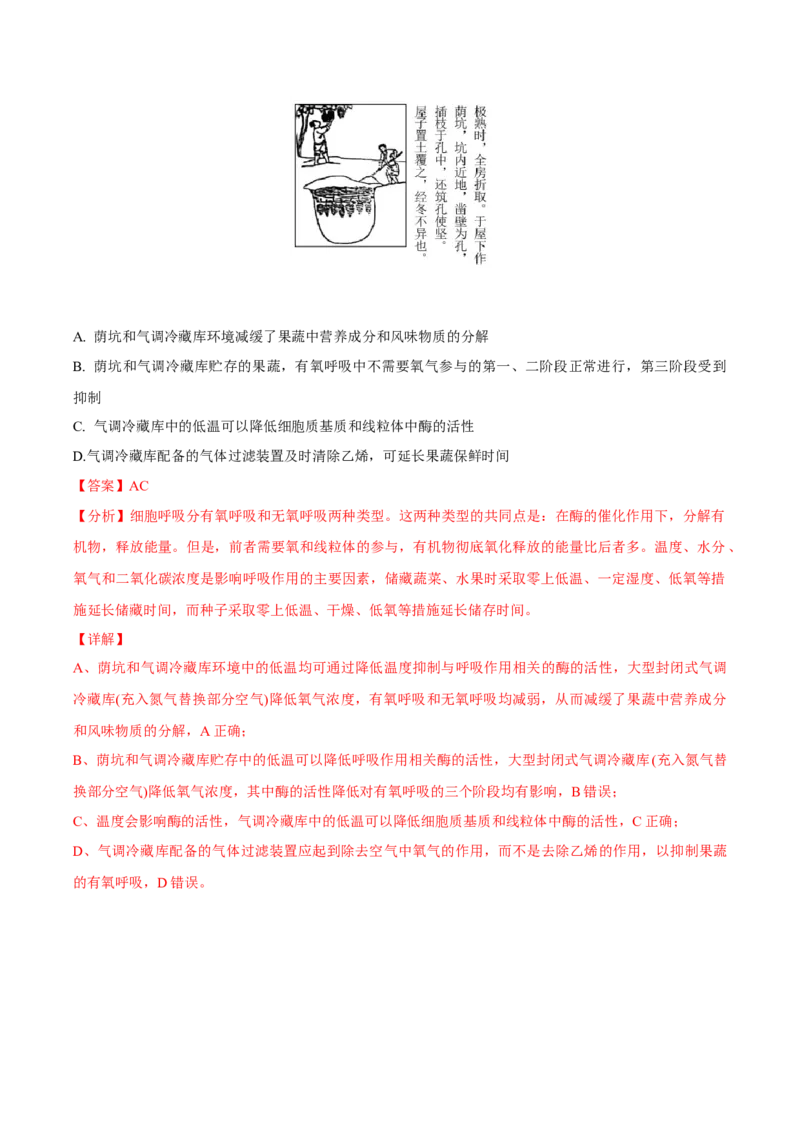 考点05细胞呼吸与光合作用-2022年高考生物一轮复习小题多维练（新高考专用）（解析版）_新高考复习资料_2022年新高考复习资料