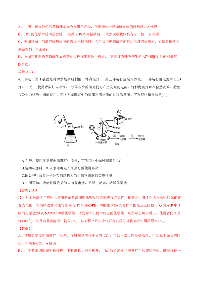 考点05细胞呼吸与光合作用-2022年高考生物一轮复习小题多维练（新高考专用）（解析版）_新高考复习资料_2022年新高考复习资料