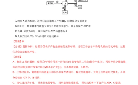 考点05细胞呼吸与光合作用-2022年高考生物一轮复习小题多维练（新高考专用）（解析版）_新高考复习资料_2022年新高考复习资料