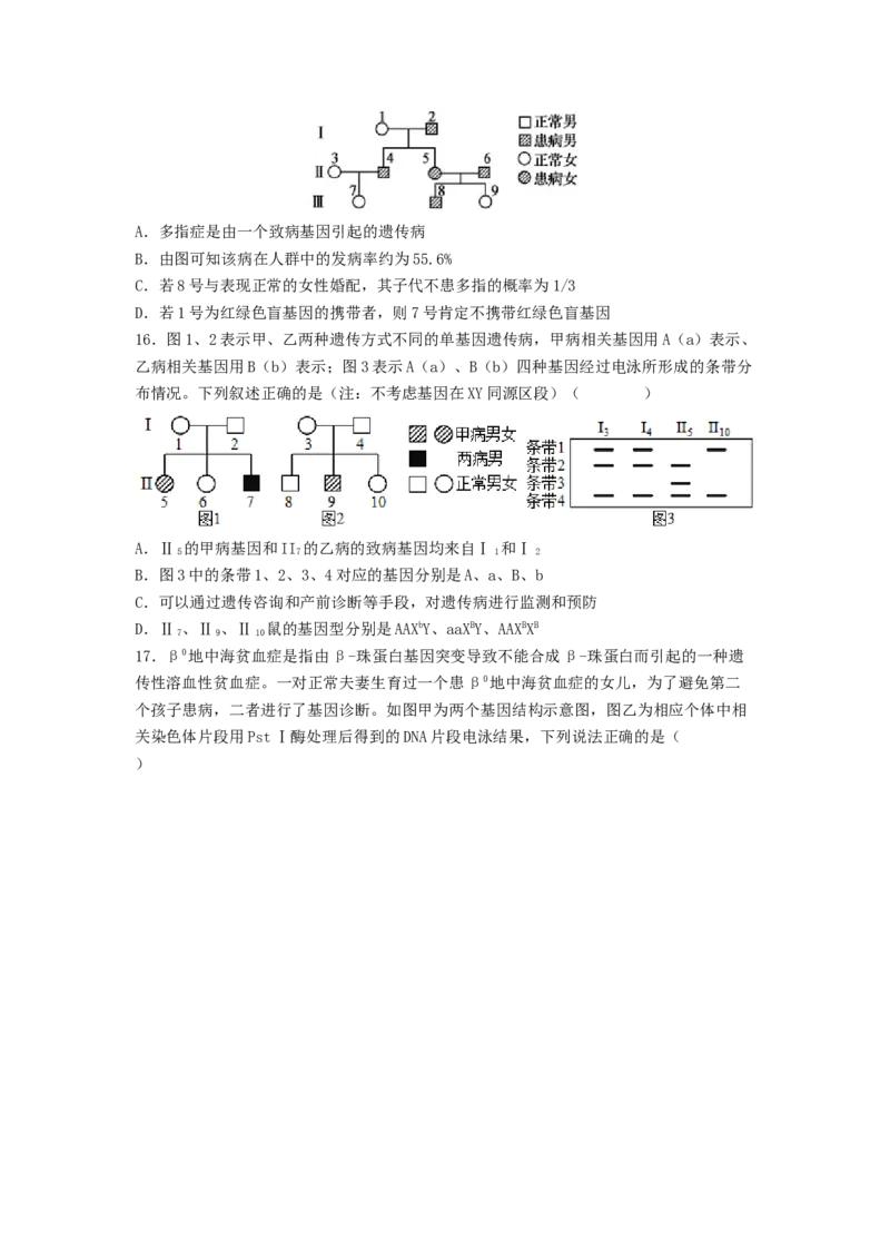 考点17伴性遗传和人类遗传病（原卷版）_通用版（老高考）复习资料_2023年复习资料_一轮复习_2023年高考生物一轮复习讲练测（全国通用）
