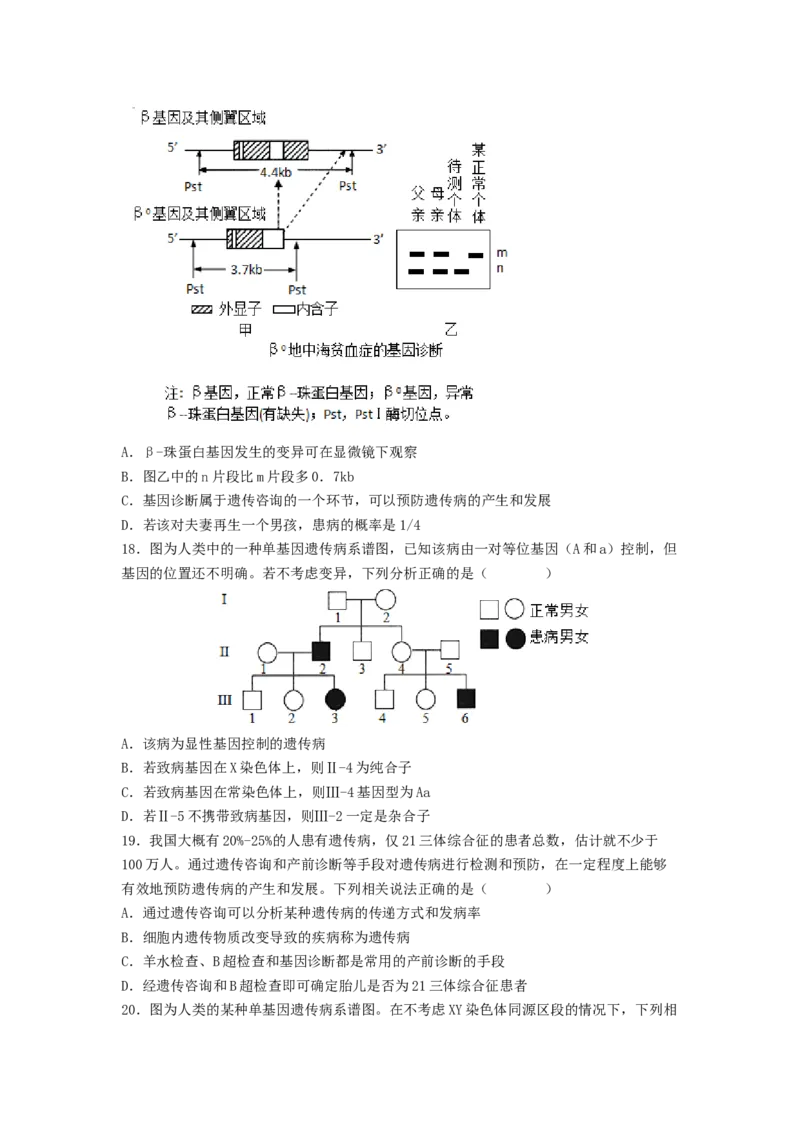 考点17伴性遗传和人类遗传病（原卷版）_通用版（老高考）复习资料_2023年复习资料_一轮复习_2023年高考生物一轮复习讲练测（全国通用）