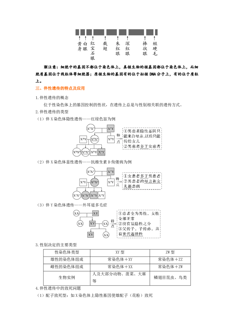 考点17伴性遗传和人类遗传病（原卷版）_通用版（老高考）复习资料_2023年复习资料_一轮复习_2023年高考生物一轮复习讲练测（全国通用）