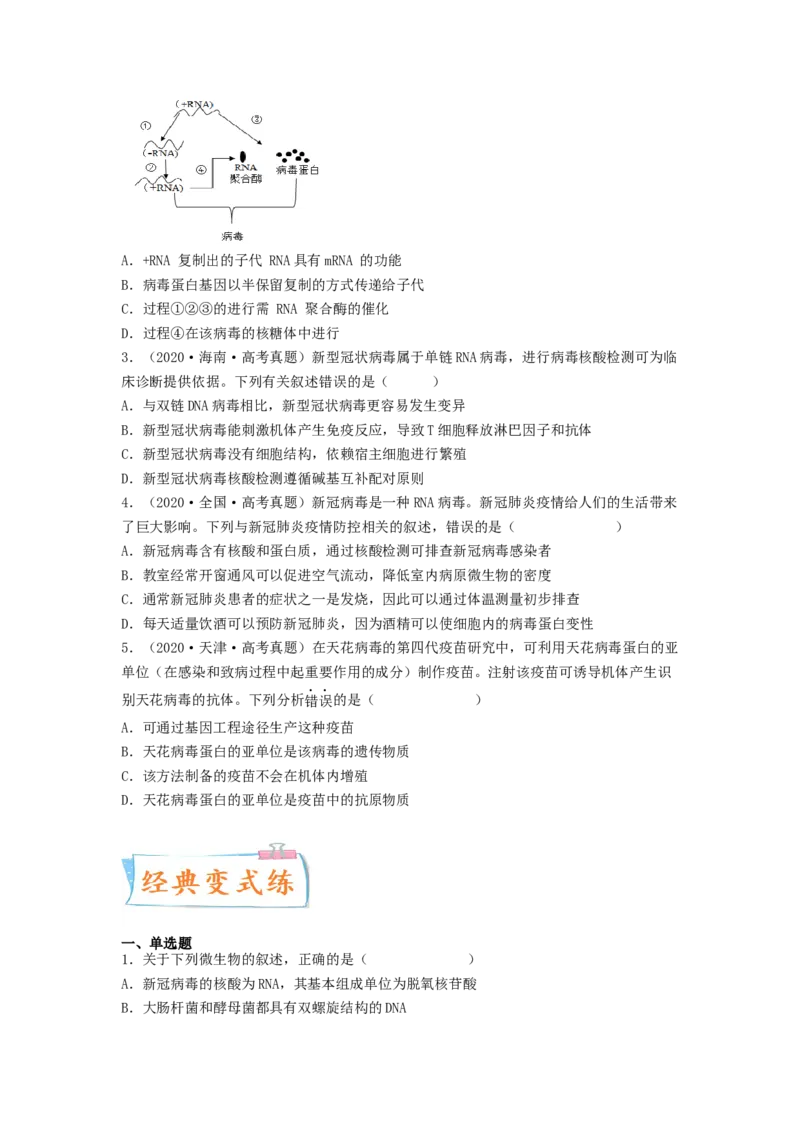 考点01细胞是生命活动的基本单位（原卷版）_通用版（老高考）复习资料_2023年复习资料_一轮复习_2023年高考生物一轮复习讲练测（全国通用）