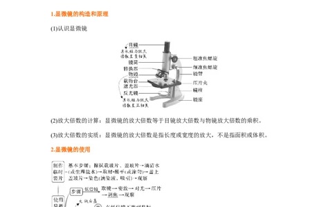 考点03使用高倍显微镜观察细胞（原卷版）_通用版（老高考）复习资料_2023年复习资料_一轮复习_2023年高考生物一轮复习讲练测（全国通用）