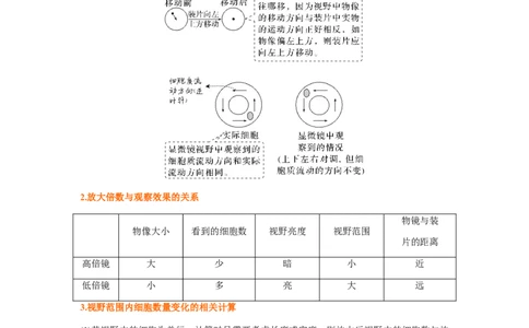 考点03使用高倍显微镜观察细胞（原卷版）_通用版（老高考）复习资料_2023年复习资料_一轮复习_2023年高考生物一轮复习讲练测（全国通用）