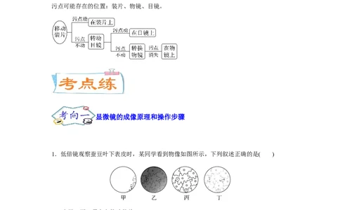 考点03使用高倍显微镜观察细胞（原卷版）_通用版（老高考）复习资料_2023年复习资料_一轮复习_2023年高考生物一轮复习讲练测（全国通用）