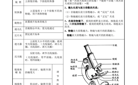 专题二生物体的结构层次-2023年中考生物核心考点必背合集_6生物中考复习_2023年中考复习资料_专项复习_2023年中考生物核心考点必背合集-----