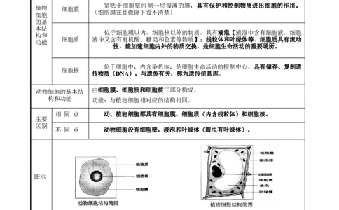 专题二生物体的结构层次-2023年中考生物核心考点必背合集_6生物中考复习_2023年中考复习资料_专项复习_2023年中考生物核心考点必背合集-----