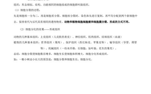 专题二生物体的结构层次-2023年中考生物核心考点必背合集_6生物中考复习_2023年中考复习资料_专项复习_2023年中考生物核心考点必背合集-----