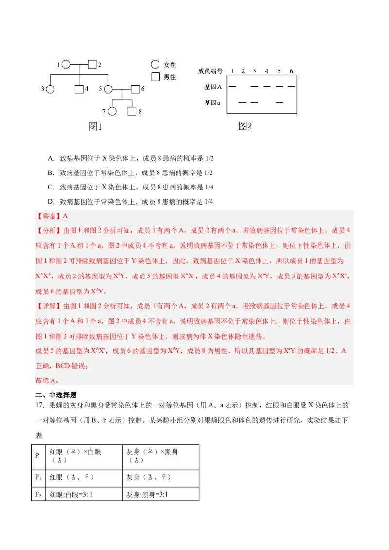 考点通关卷18遗传综合（解析版）_2025年新高考资料_一轮复习_2025年高考生物一轮复习考点通关卷（新高考通用）_考点通关卷18遗传综合-2025年高考生物一轮复习考点通关卷（新高考通用）