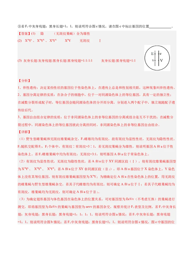 考点通关卷18遗传综合（解析版）_2025年新高考资料_一轮复习_2025年高考生物一轮复习考点通关卷（新高考通用）_考点通关卷18遗传综合-2025年高考生物一轮复习考点通关卷（新高考通用）