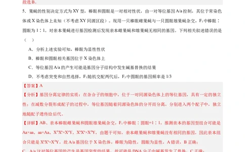 考点通关卷18遗传综合（解析版）_2025年新高考资料_一轮复习_2025年高考生物一轮复习考点通关卷（新高考通用）_考点通关卷18遗传综合-2025年高考生物一轮复习考点通关卷（新高考通用）