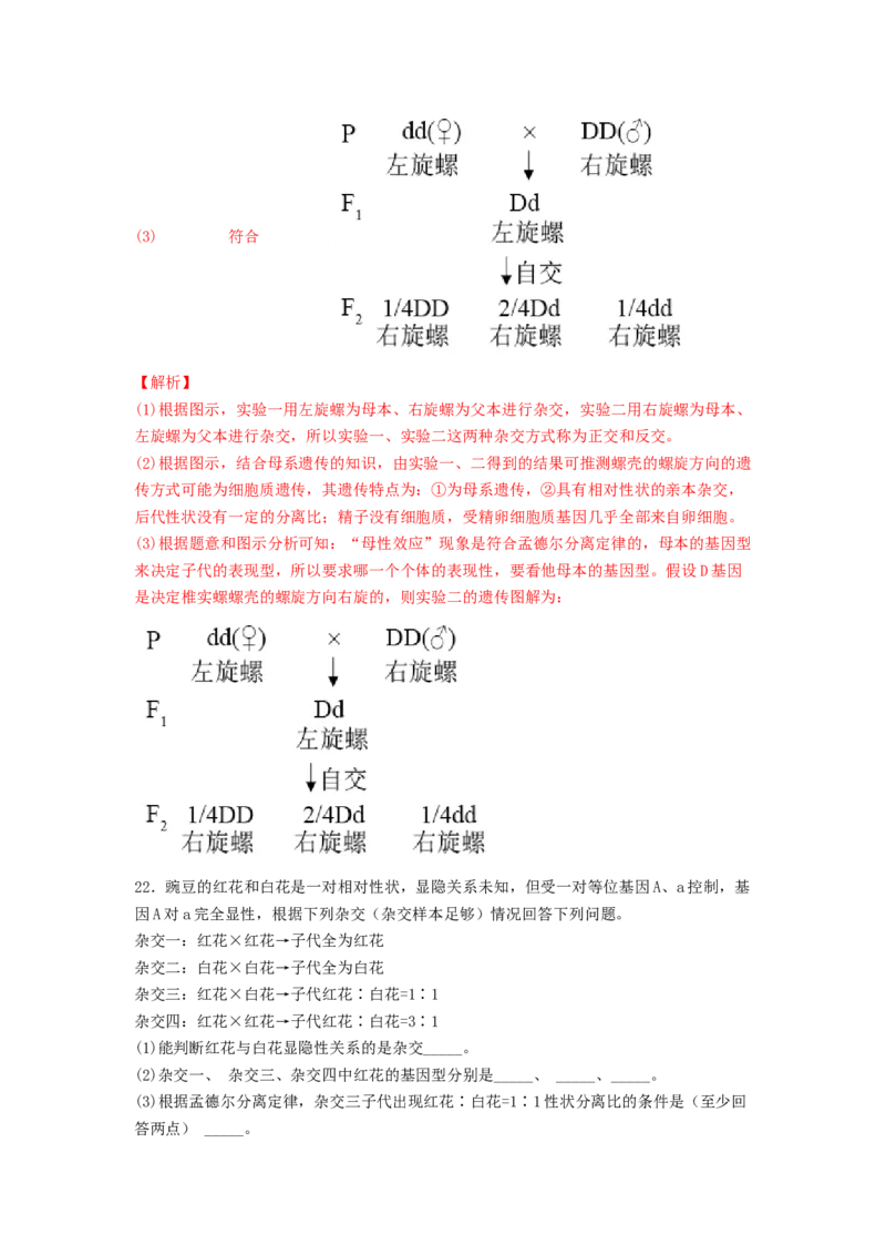 考点15基因的分离定律（核心考点讲与练）-2023年高考生物一轮复习讲练测（全国通用）（解析版）_通用版（老高考）复习资料_2023年复习资料_一轮复习
