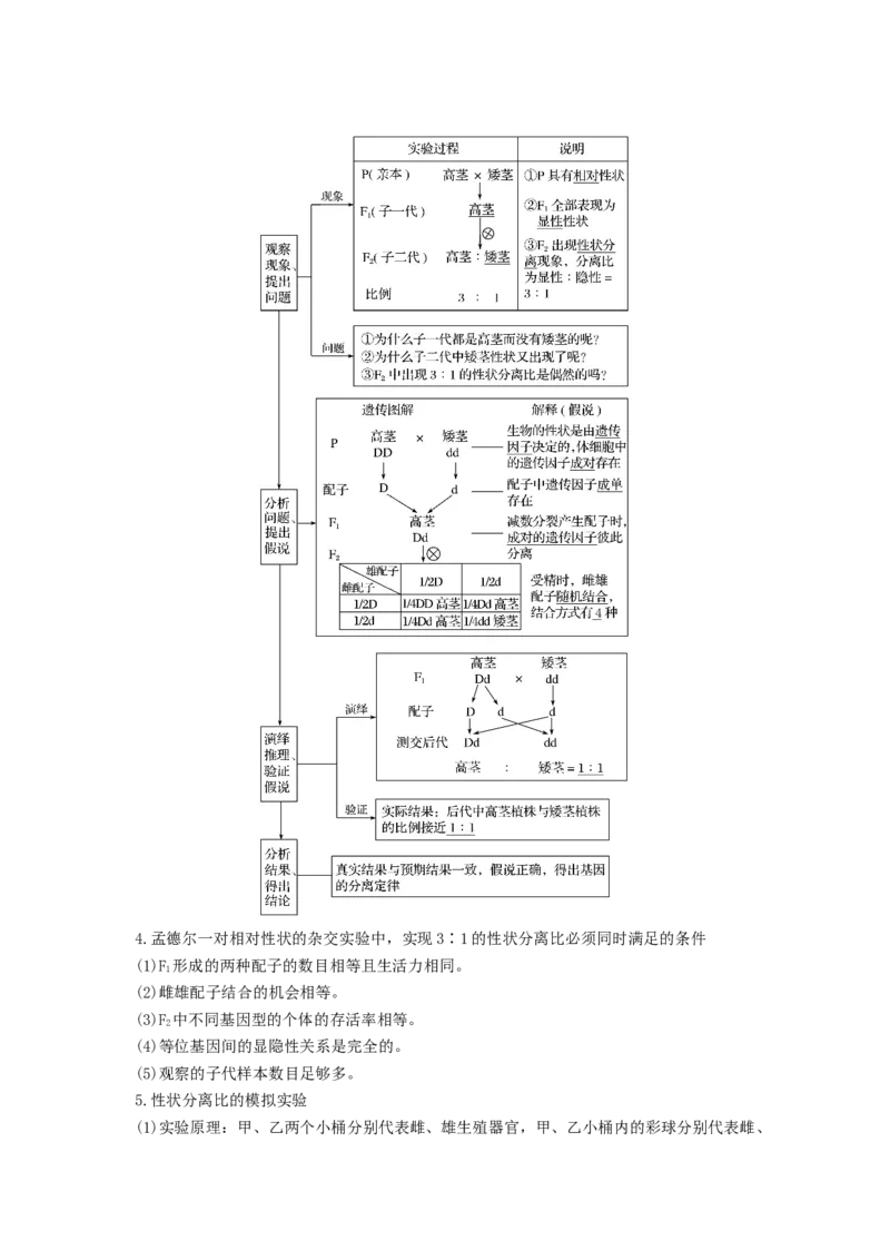 考点15基因的分离定律（核心考点讲与练）-2023年高考生物一轮复习讲练测（全国通用）（解析版）_通用版（老高考）复习资料_2023年复习资料_一轮复习