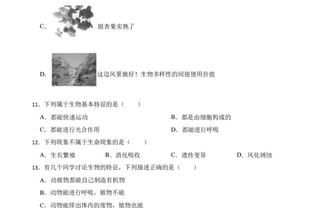 人教版2023届中考一轮复习专用训练卷&mdash;专题1认识生物（含解析）_6生物中考复习_2023年中考复习资料_一轮复习_人教版2023届中考生物一轮复习专用训练卷