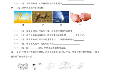 人教版2023届中考一轮复习专用训练卷&mdash;专题1认识生物（含解析）_6生物中考复习_2023年中考复习资料_一轮复习_人教版2023届中考生物一轮复习专用训练卷