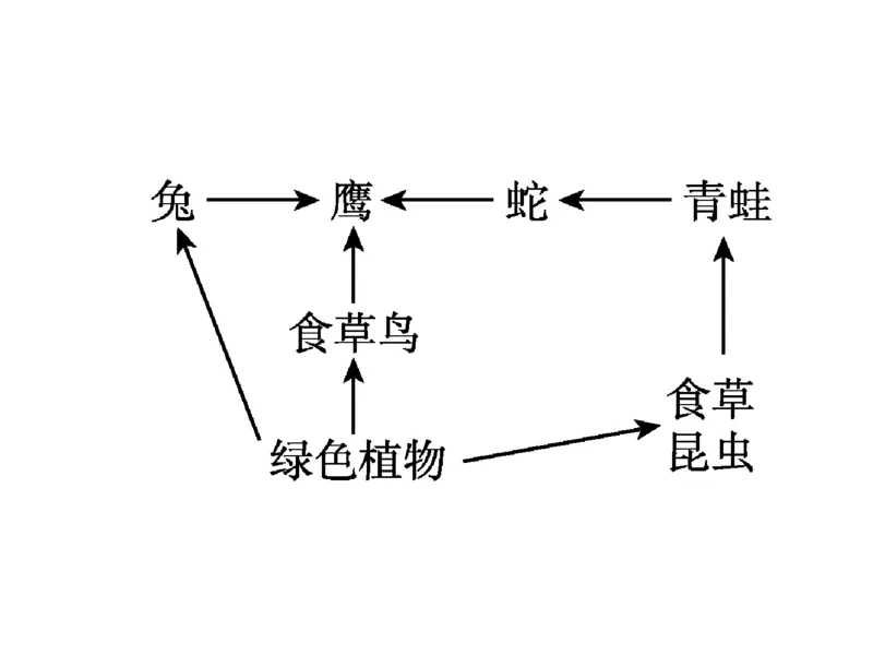 考点精讲13生态系统及其稳定性人与环境（教案）_新高考复习资料_2022年新高考复习资料_2022届一轮复习讲练结合7.13更新_系列二_考点精讲13生态系统及其稳定性人与环境
